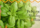 La Conexión Divina: Explorando el Papel de Tulsi en la Mitología y los Rituales Hindúes