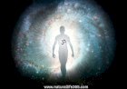 Do Hindus Believe in Reincarnation?