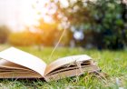 Do Hindus Have a Bible?