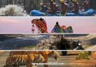 The Best Travel Destinations in India for Nature and Adventure Lovers