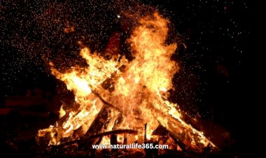 Holika Dahan and Holi 2025: Significance and Celebrations Across India