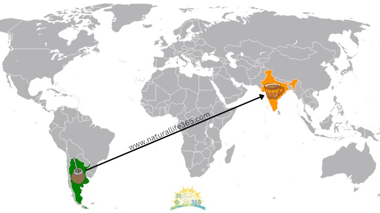 20 Argentine Habits I Lost in India