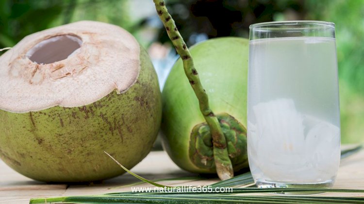 10 Razones Para Agregar Agua de Coco a Tu Dieta