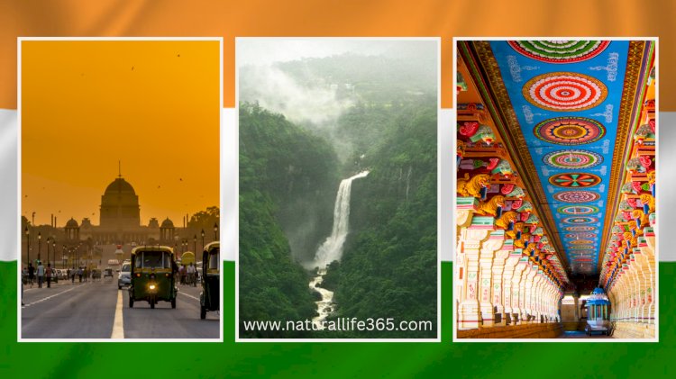 Los 20 Mejores Lugares Para Visitar en la India Al Menos Una Vez en la Vida