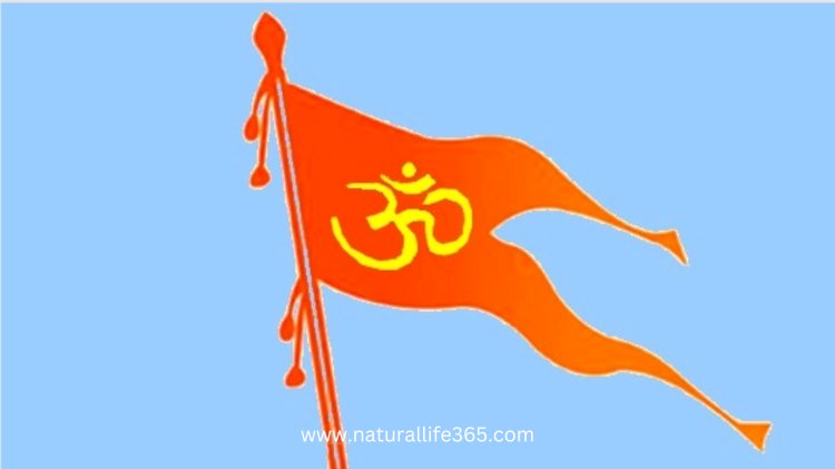 ¿Cuál es El Significado Del Color Azafrán en El Hinduismo?