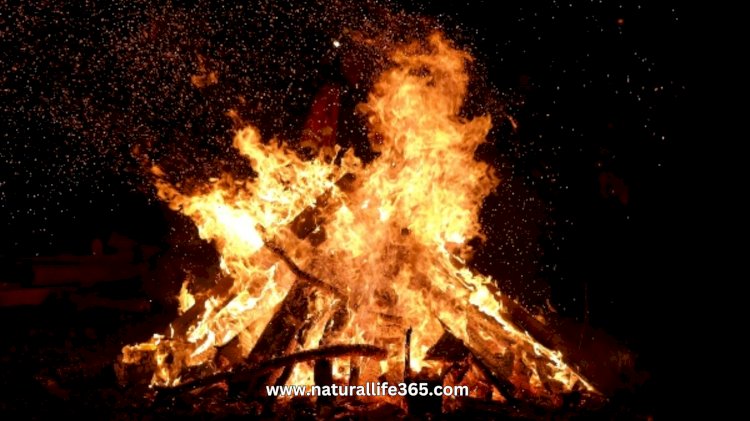 Holika Dahan y Holi 2025: Significado y Celebraciones en toda la India