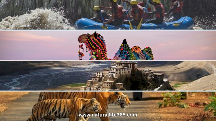 The Best Travel Destinations in India for Nature and Adventure Lovers